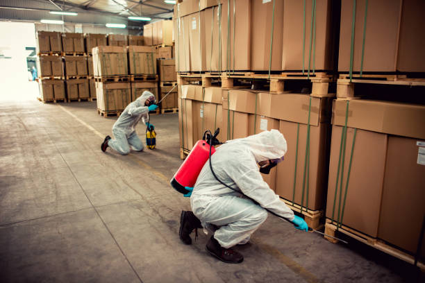 Best Flea Control Services  in Jupiter, FL