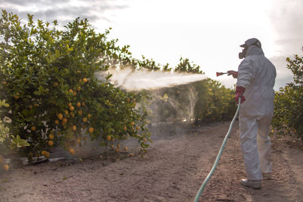Best Affordable Pest Control Services  in Jupiter, FL