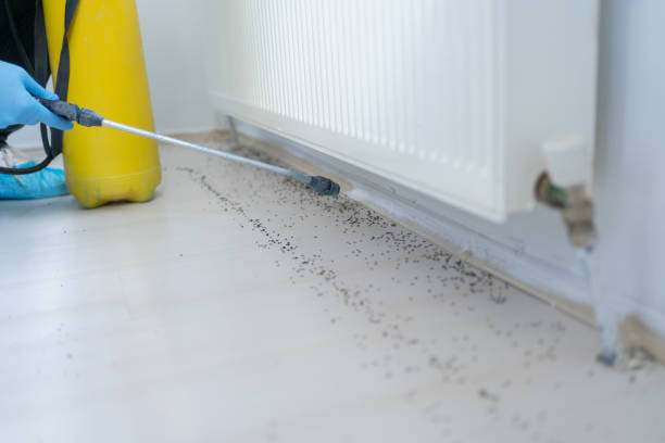 Best Local Pest Control Services  in Jupiter, FL