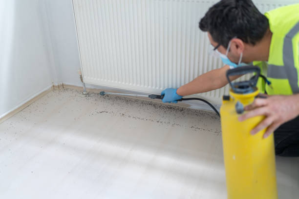 Best Termite Control Services  in Jupiter, FL