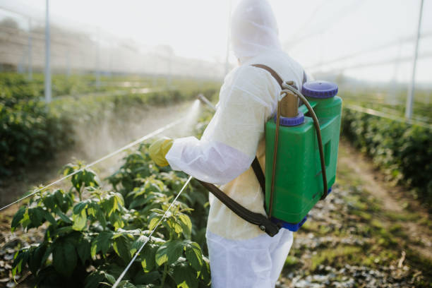Best Residential Pest Control  in Jupiter, FL